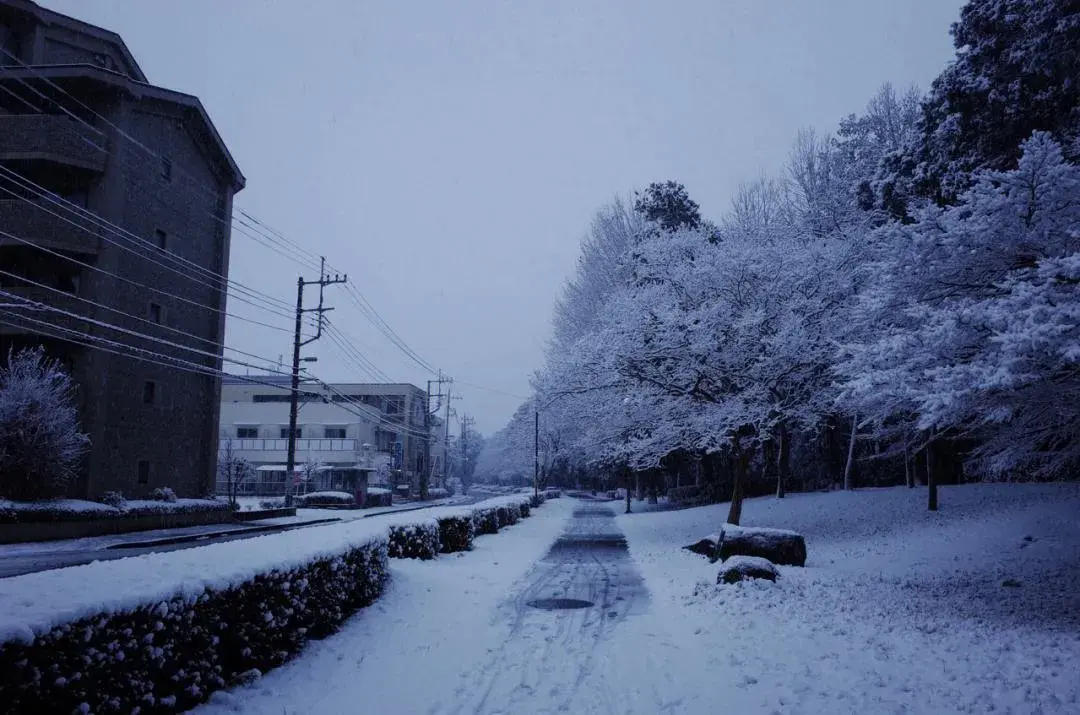 10句关于雪的唯美诗词，等一场雪来，唯美冬天(图5)