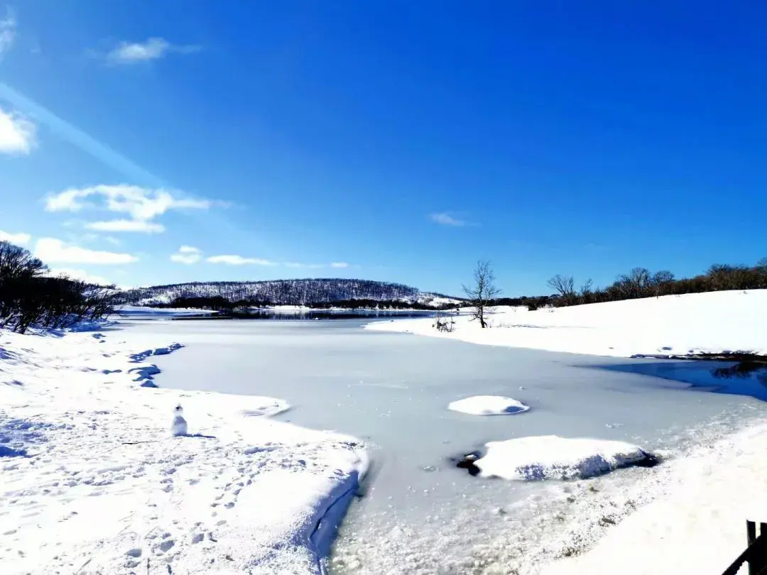 10句关于雪的唯美诗词，等一场雪来，唯美冬天(图7)