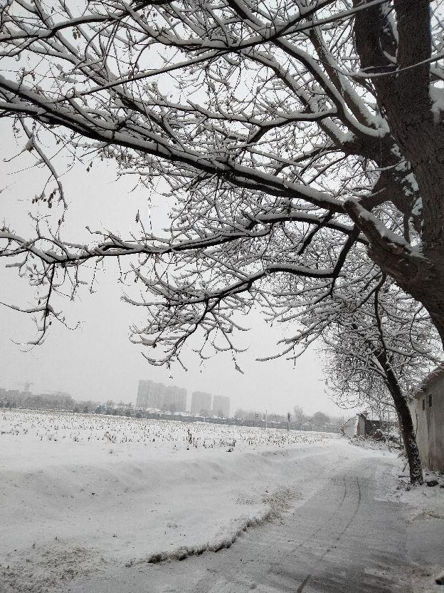 飘落的那洁白的雪花，是故乡的原风景里的一抹乡愁【散文】(图1)