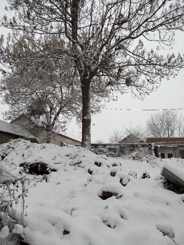 飘落的那洁白的雪花，是故乡的原风景里的一抹乡愁【散文】(图2)