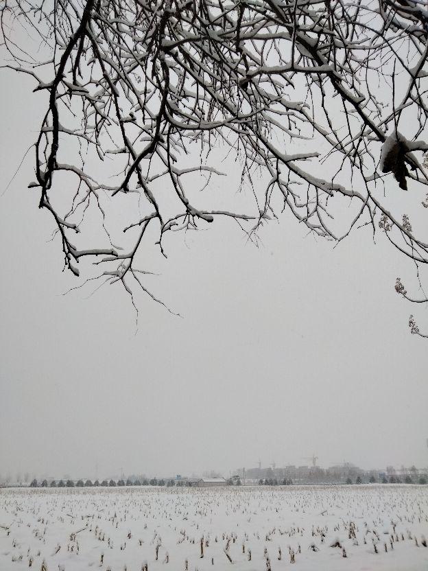 飘落的那洁白的雪花，是故乡的原风景里的一抹乡愁【散文】(图3)
