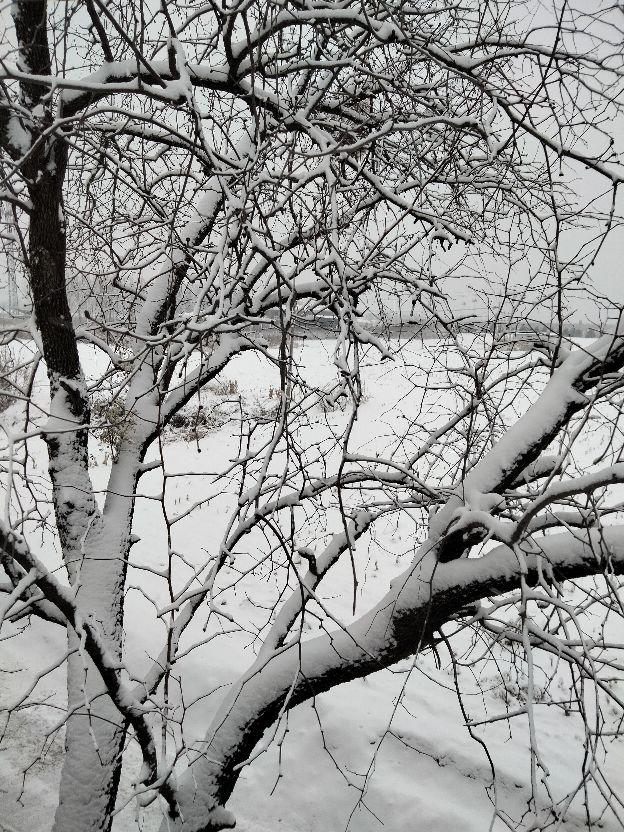 飘落的那洁白的雪花，是故乡的原风景里的一抹乡愁【散文】(图4)