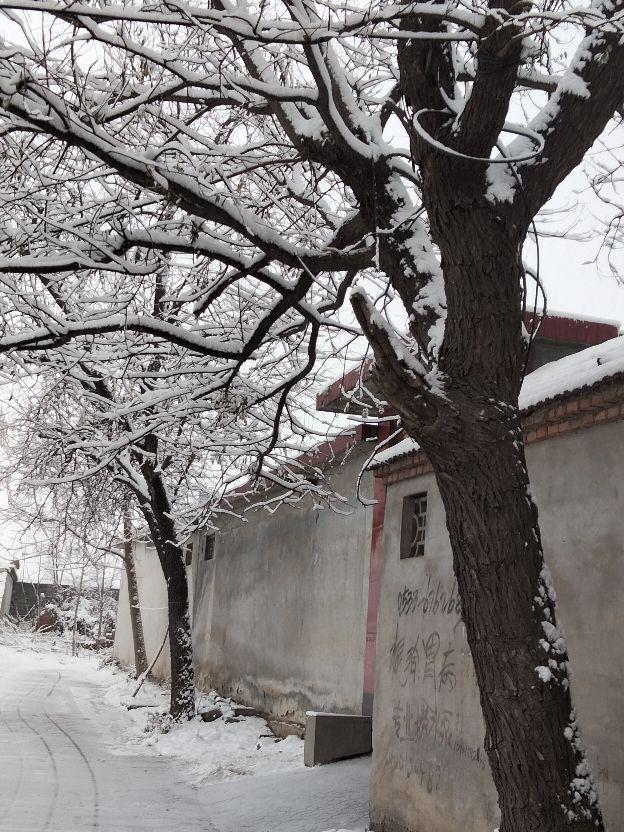 飘落的那洁白的雪花，是故乡的原风景里的一抹乡愁【散文】(图5)