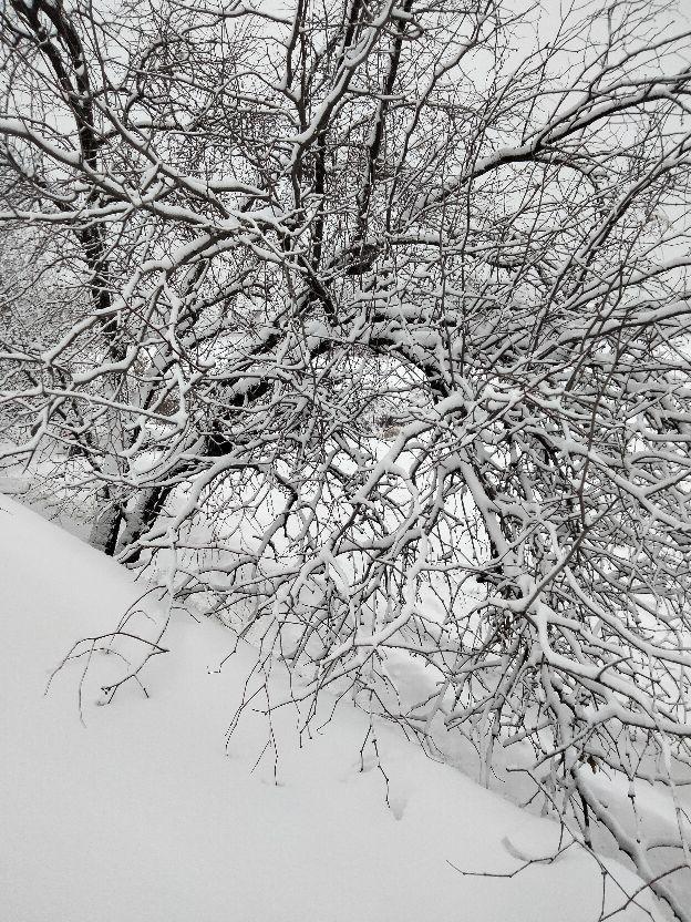 飘落的那洁白的雪花，是故乡的原风景里的一抹乡愁【散文】(图7)