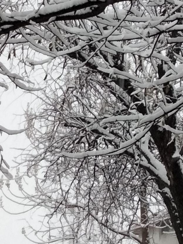 飘落的那洁白的雪花，是故乡的原风景里的一抹乡愁【散文】(图8)