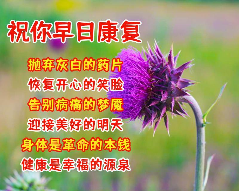 送给朋友的美好暖心祝福语,好看的祝福图片带文字(图7) 送给朋友的美好暖心祝福语,好看的祝福图片带文字(图7)