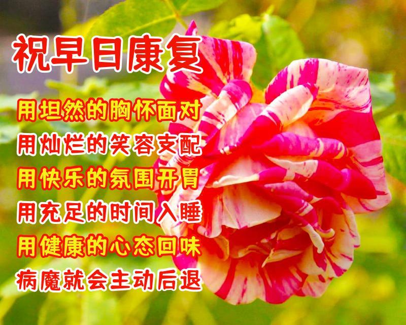 送给朋友的美好暖心祝福语,好看的祝福图片带文字(图8) 送给朋友的美好暖心祝福语,好看的祝福图片带文字(图8)