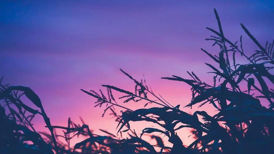 青春期15岁生日祝福语，简短独特，暖心而不俗气(图2)