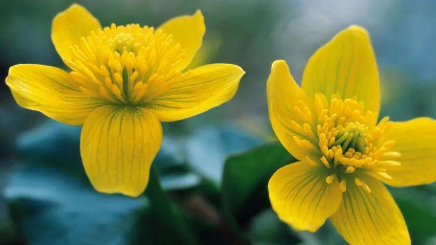 青春期15岁生日祝福语，简短独特，暖心而不俗气(图3)