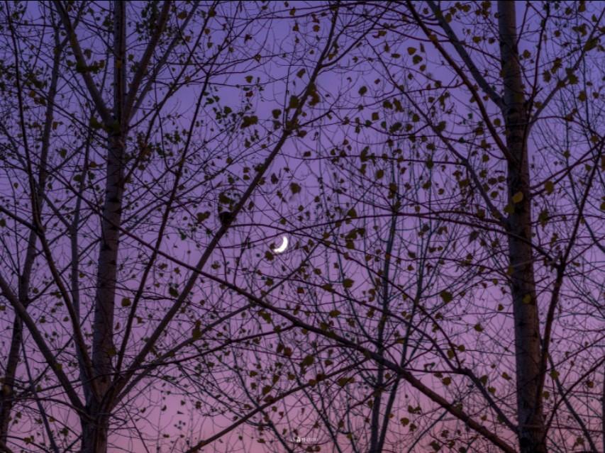 我们终其一生都在成长，这些关于成长的句子送给你！(图2)