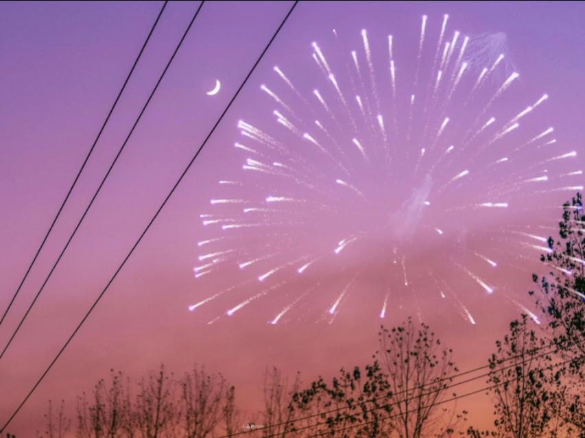 我们终其一生都在成长，这些关于成长的句子送给你！(图3)