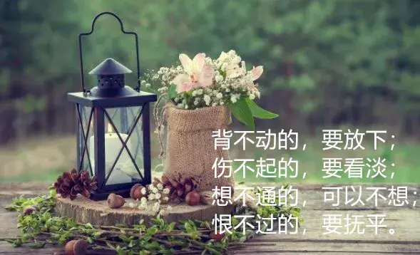 人总有一天会长大，何必成熟太早，失去太早，早安(图3)