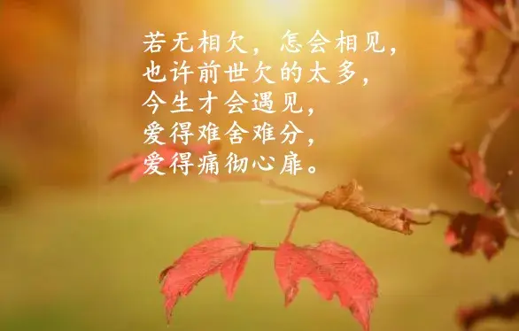 人总有一天会长大，何必成熟太早，失去太早，早安(图4)