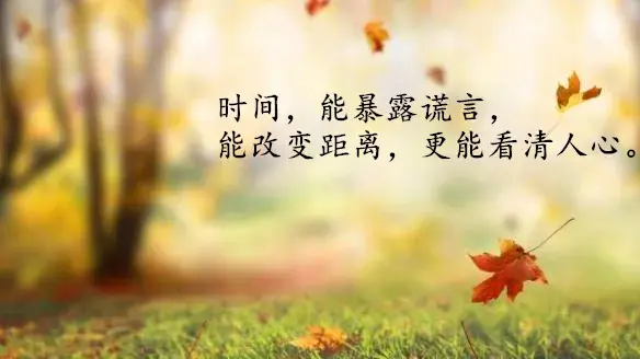 人总有一天会长大，何必成熟太早，失去太早，早安(图6)