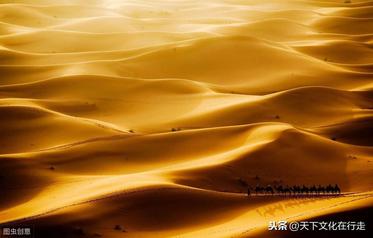 非常经典的句子：人总要学会自己长大的(图4)