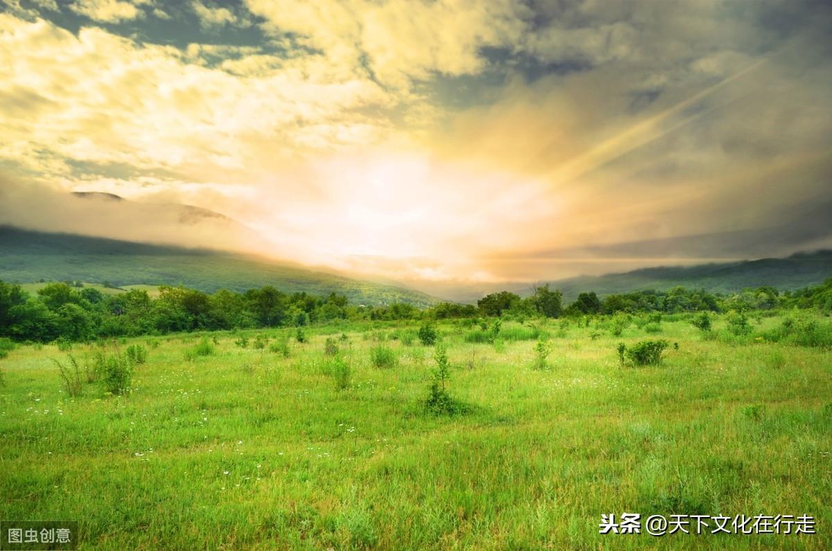 非常经典的句子：人总要学会自己长大的(图5)