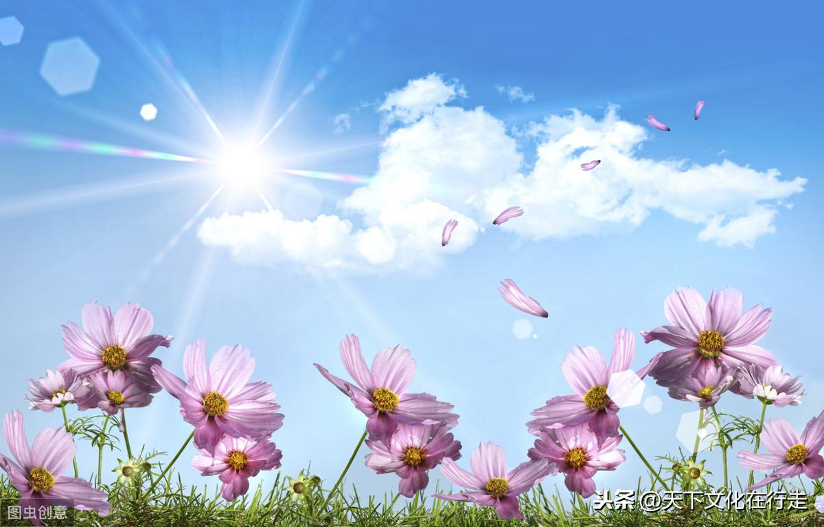 非常经典的句子：人总要学会自己长大的(图6)