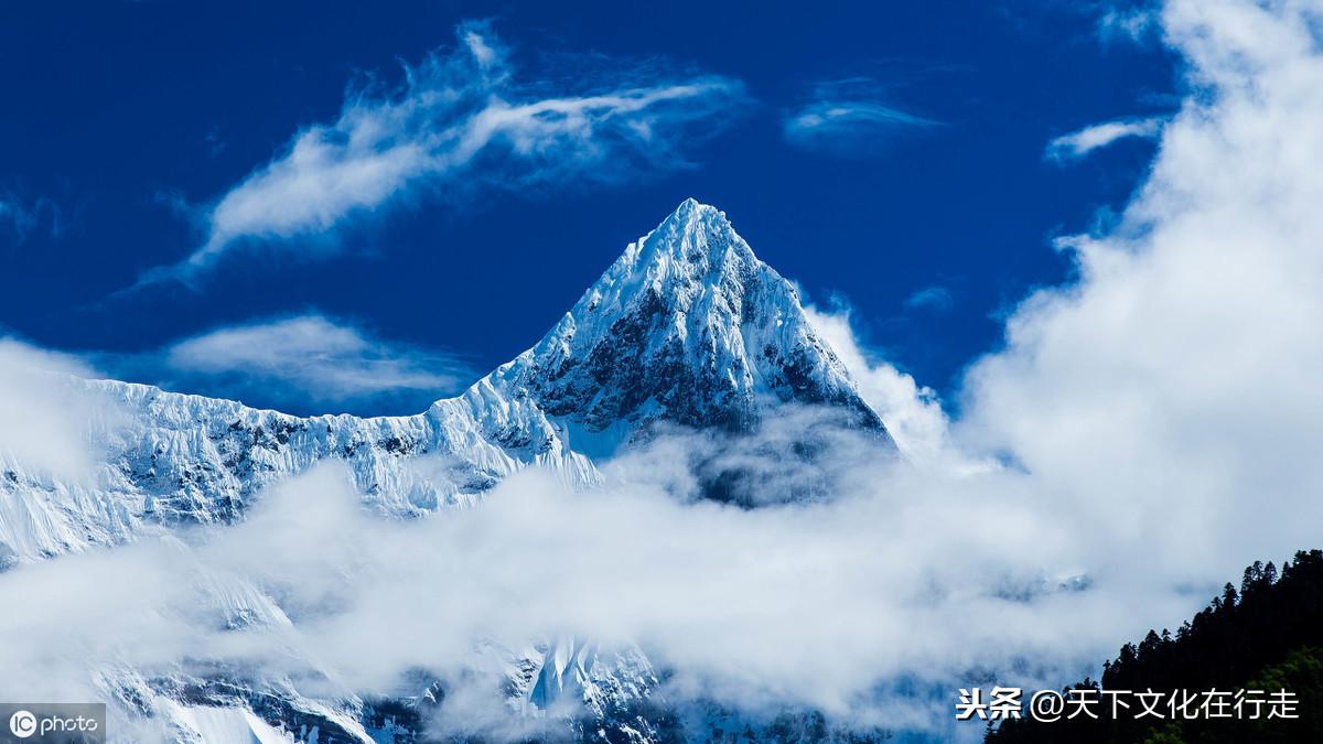 非常经典的句子：人总要学会自己长大的(图13)