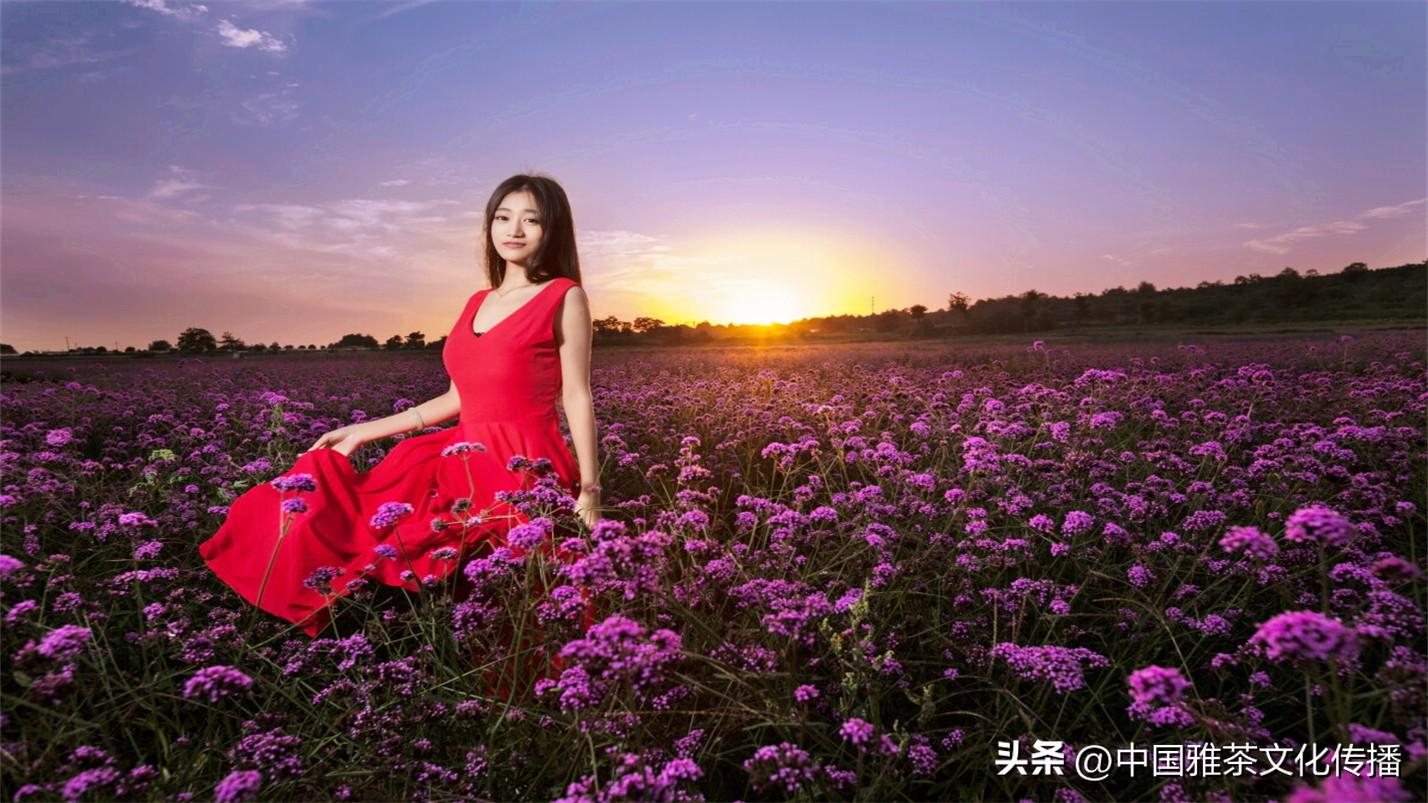 日月轮回，四季交替，犹如人生(图4)