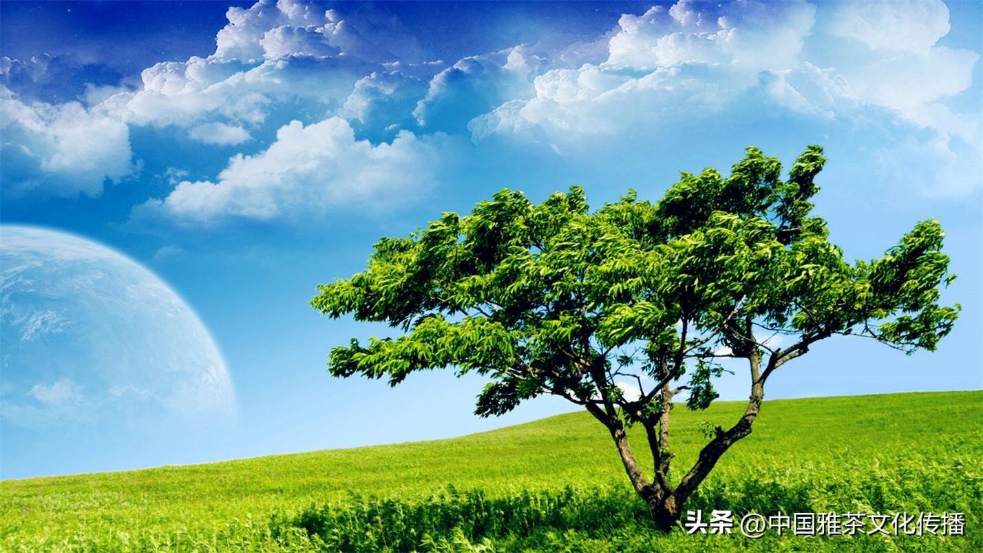 日月轮回，四季交替，犹如人生(图5)