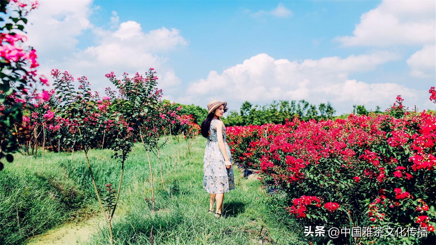 日月轮回，四季交替，犹如人生(图13)