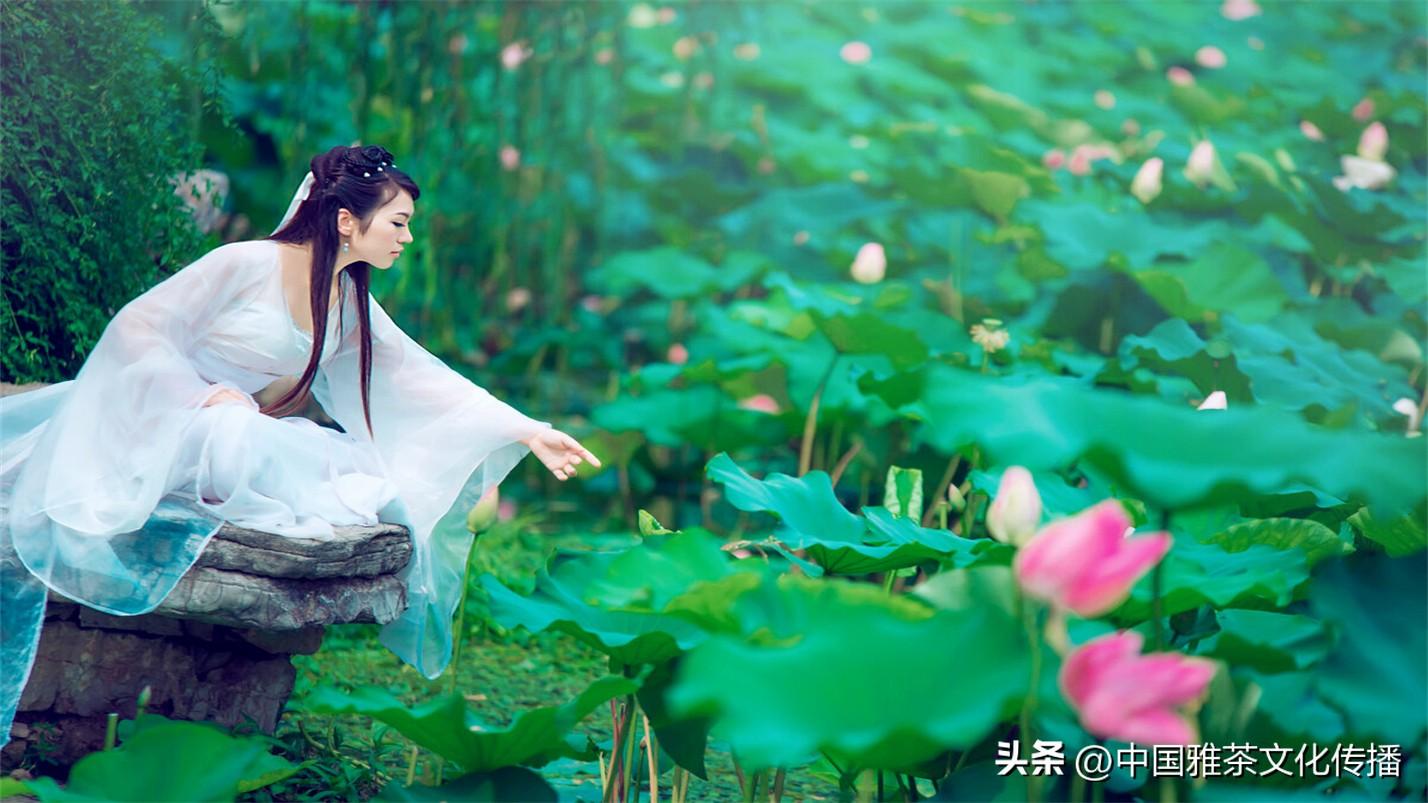 日月轮回，四季交替，犹如人生(图16)