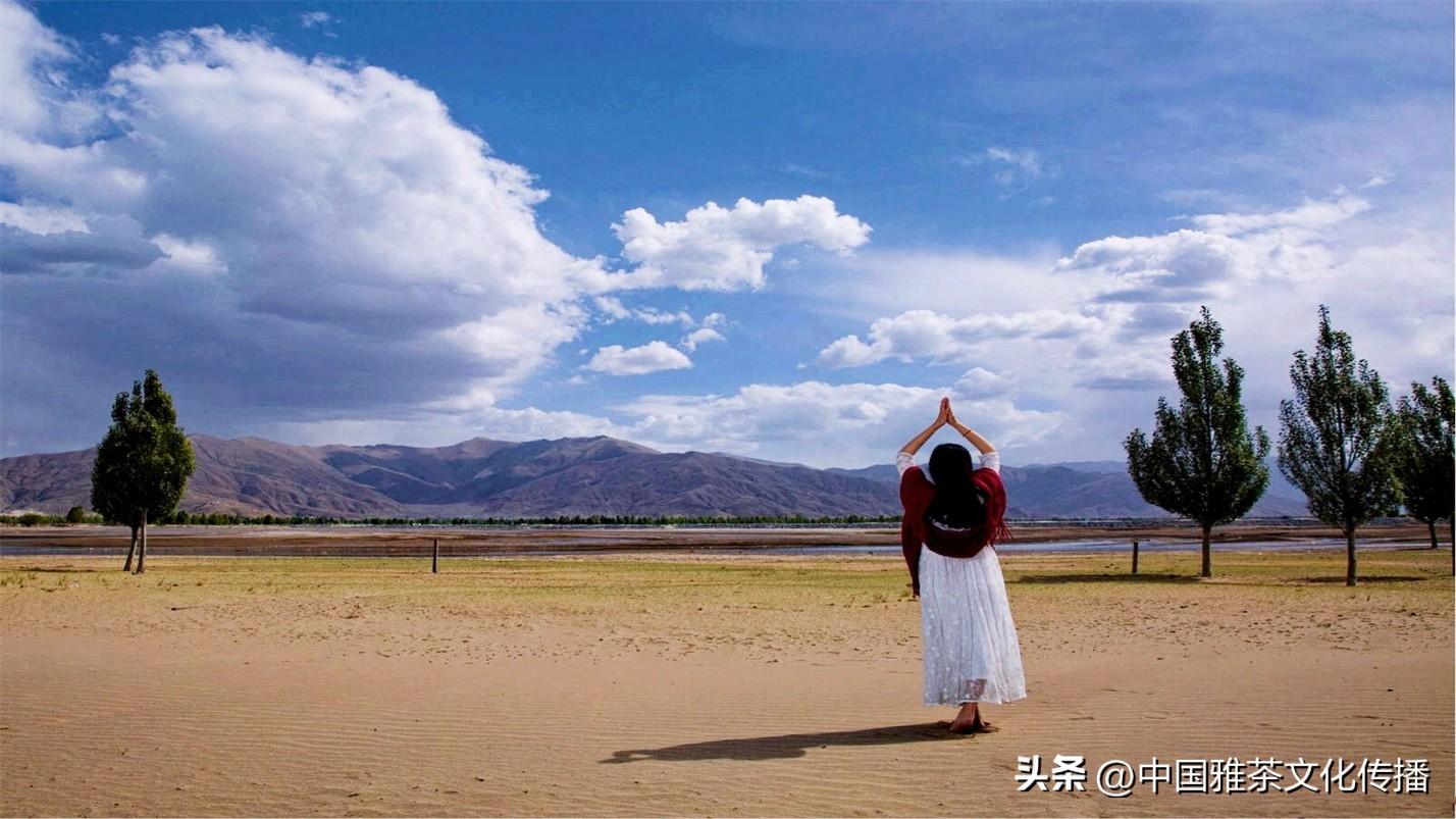 日月轮回，四季交替，犹如人生(图17)