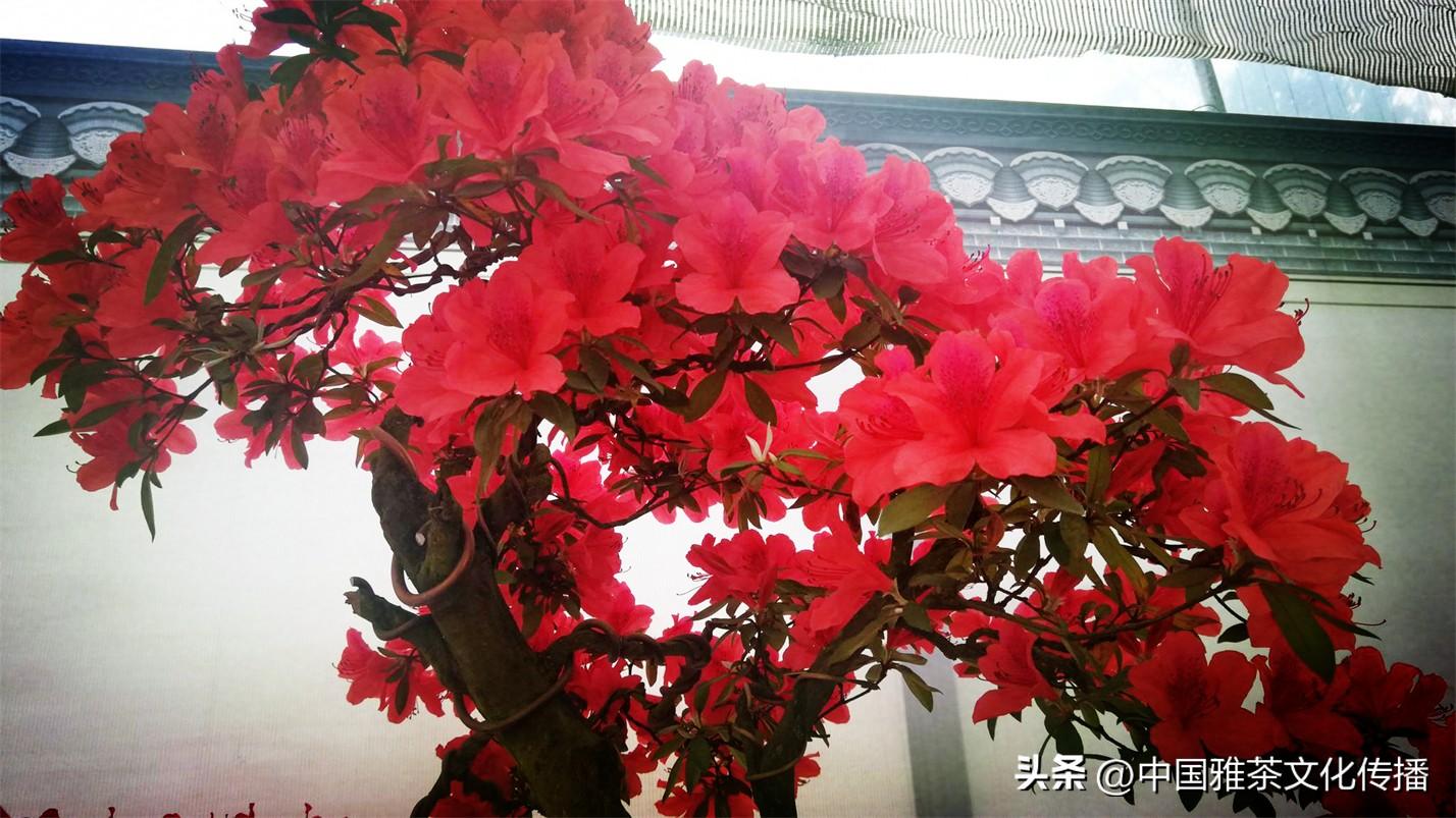 日月轮回，四季交替，犹如人生(图18)