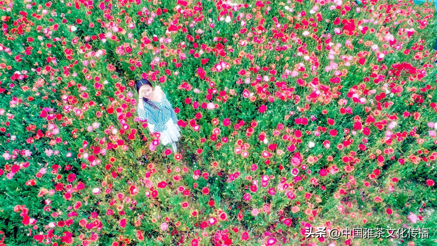 日月轮回，四季交替，犹如人生(图22)