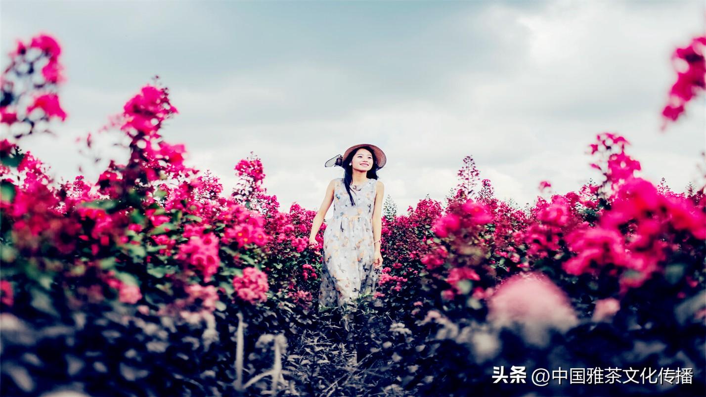 日月轮回，四季交替，犹如人生(图31)