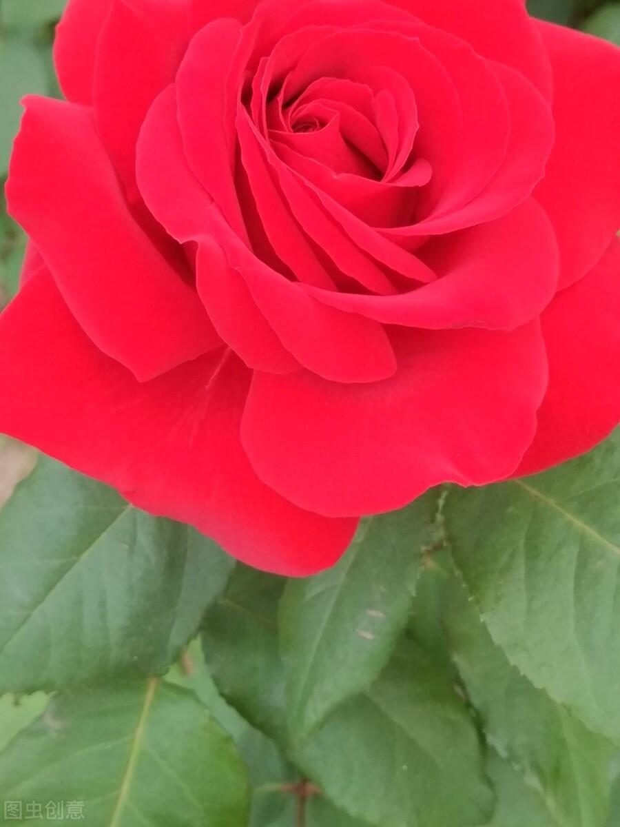 品质    品德    品牌(图6)