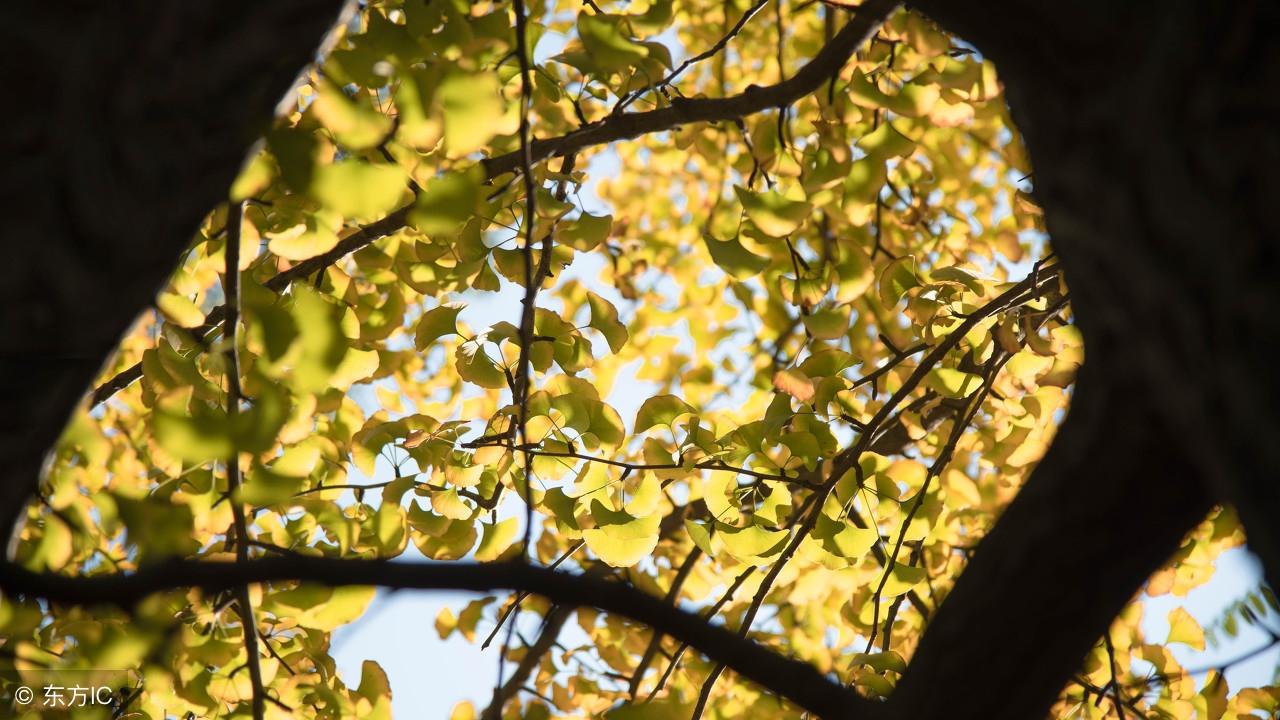 企业励志名言警句（2）(图3)