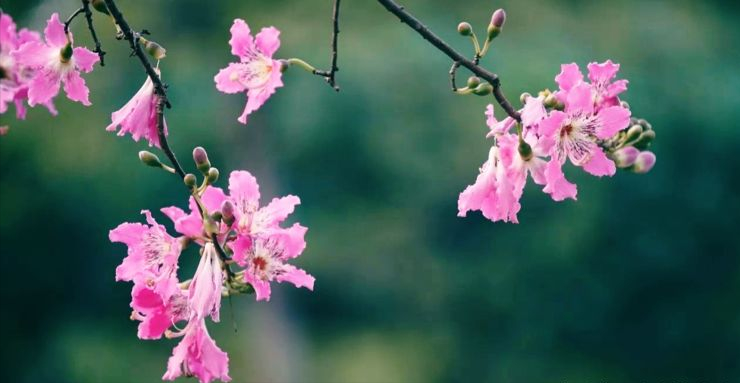 电影中思念人的句子，每一个字都是我在想你(图5)