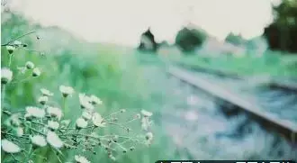 放不下一个人的句子，送给心累的你(图1)