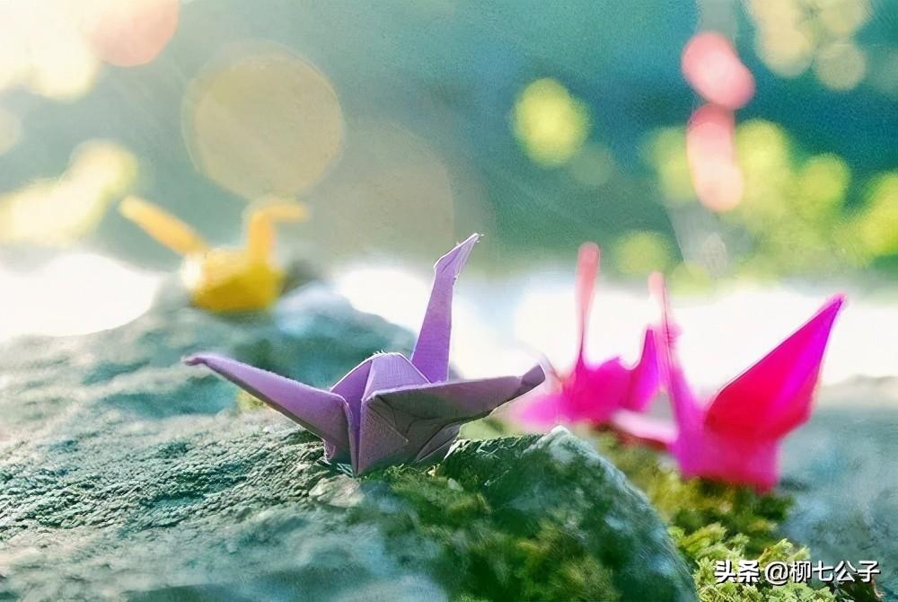 缘分是上天注定的吗？佛说缘分天注定半点不由人，缘来缘去皆天意(图3)