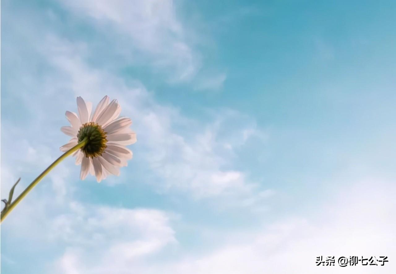 缘分是上天注定的吗？佛说缘分天注定半点不由人，缘来缘去皆天意(图5)