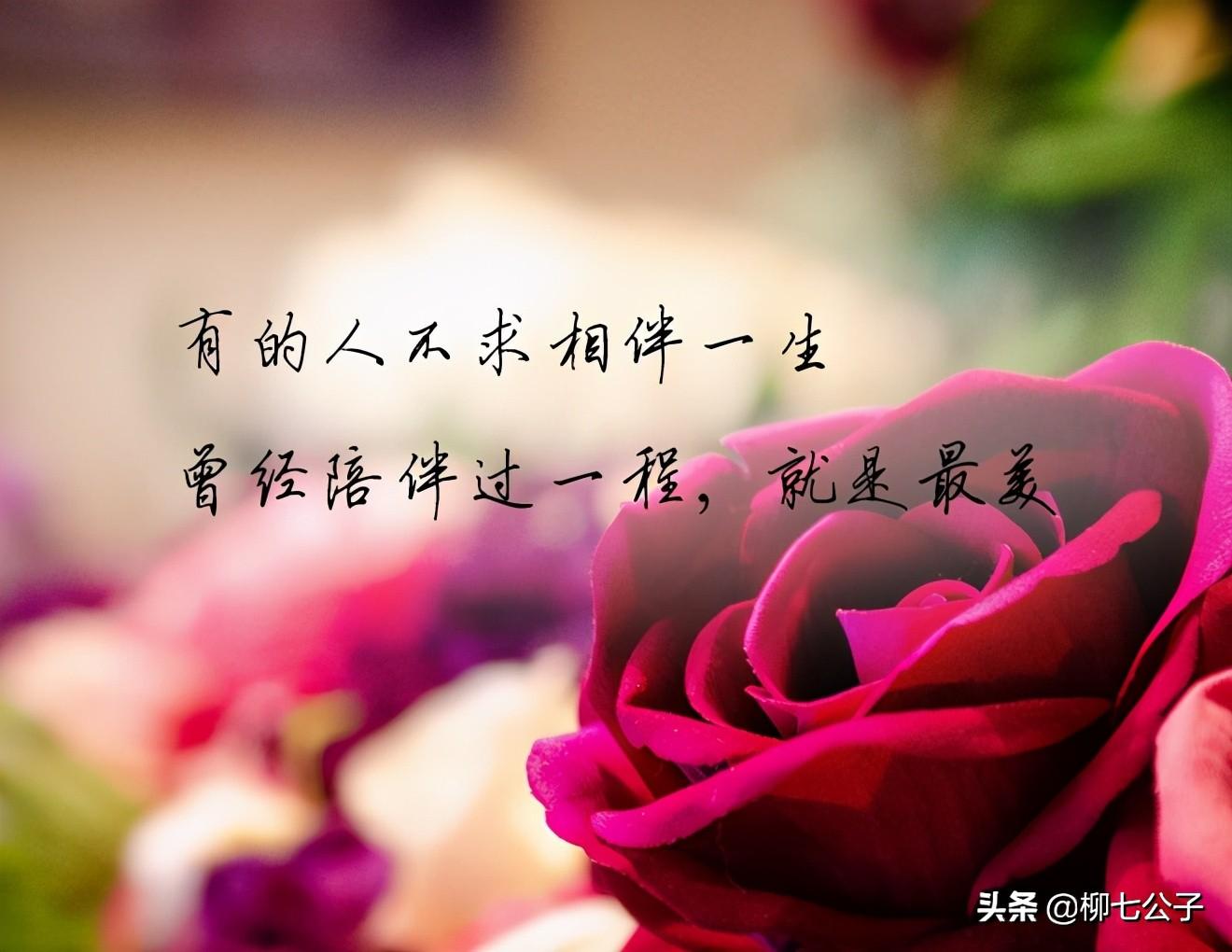 缘分是上天注定的吗？佛说缘分天注定半点不由人，缘来缘去皆天意(图9)