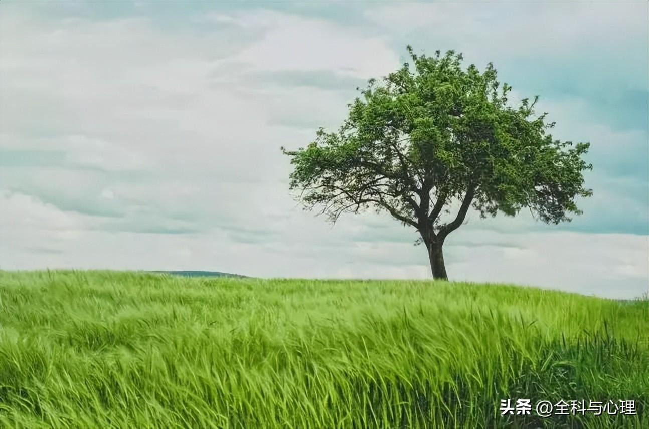 人生座右铭短句，经典人生格言名言警句(图3)