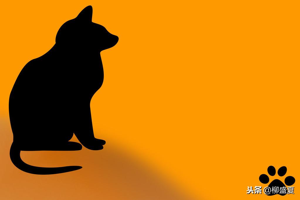 小时候1分钟背熟的一句话，却花了我28年的时间来践行(图19)