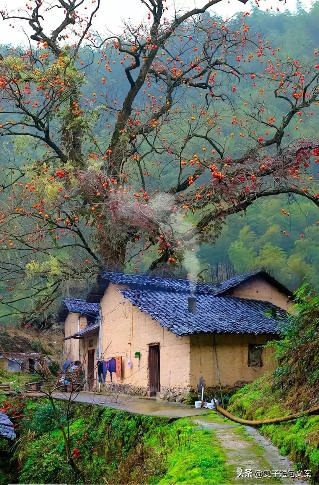 中秋国庆回老家这样发朋友圈瞬间被人秒赞(图2)