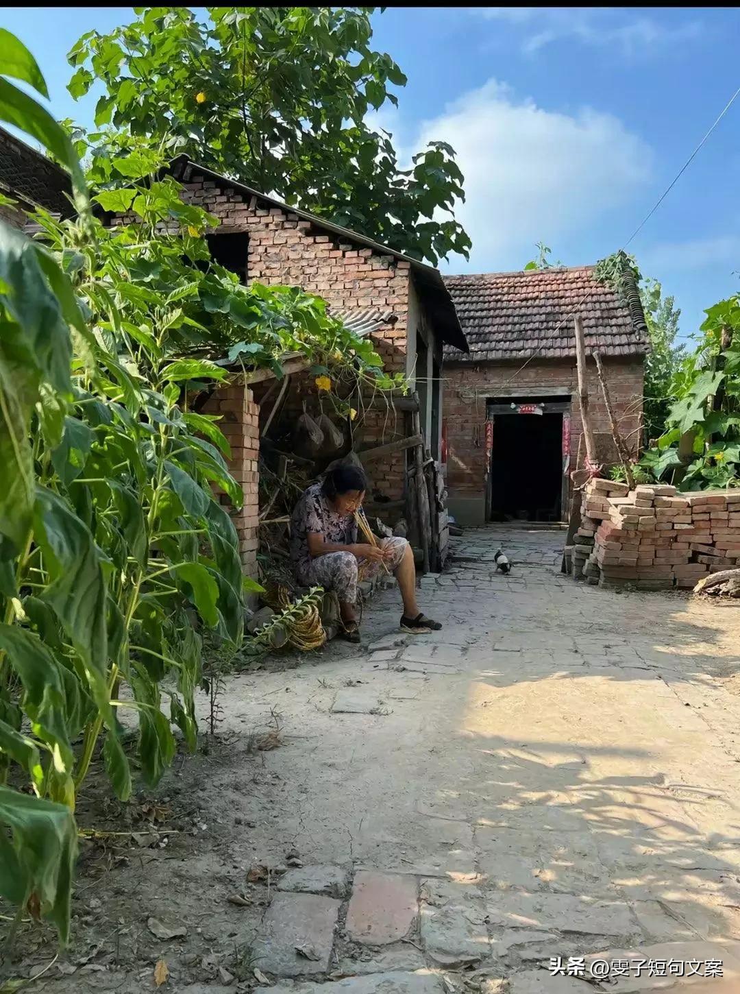 中秋国庆回老家这样发朋友圈瞬间被人秒赞(图3)