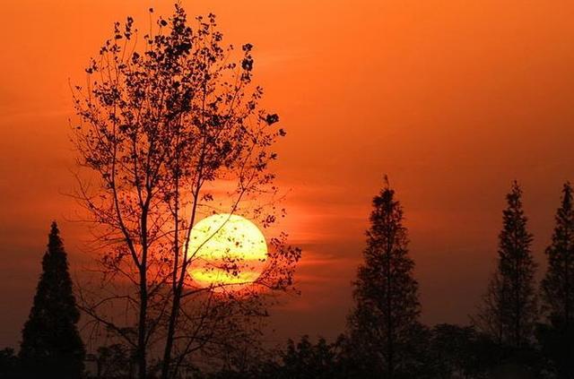 当你老了，就回农村去吧，不再漂泊(图1)