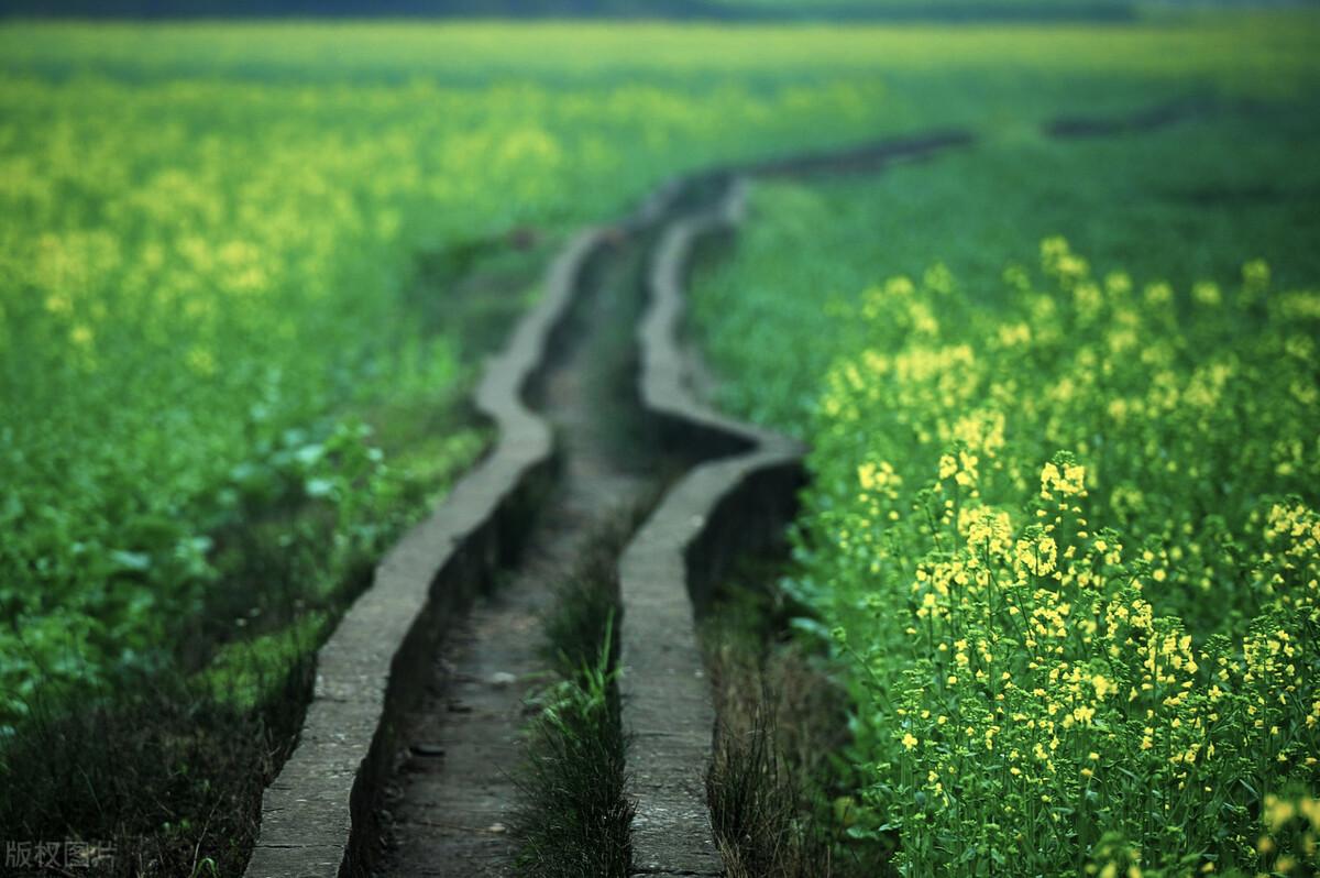 等我们老了，两鬓霜花，就回乡下老家去(图3)