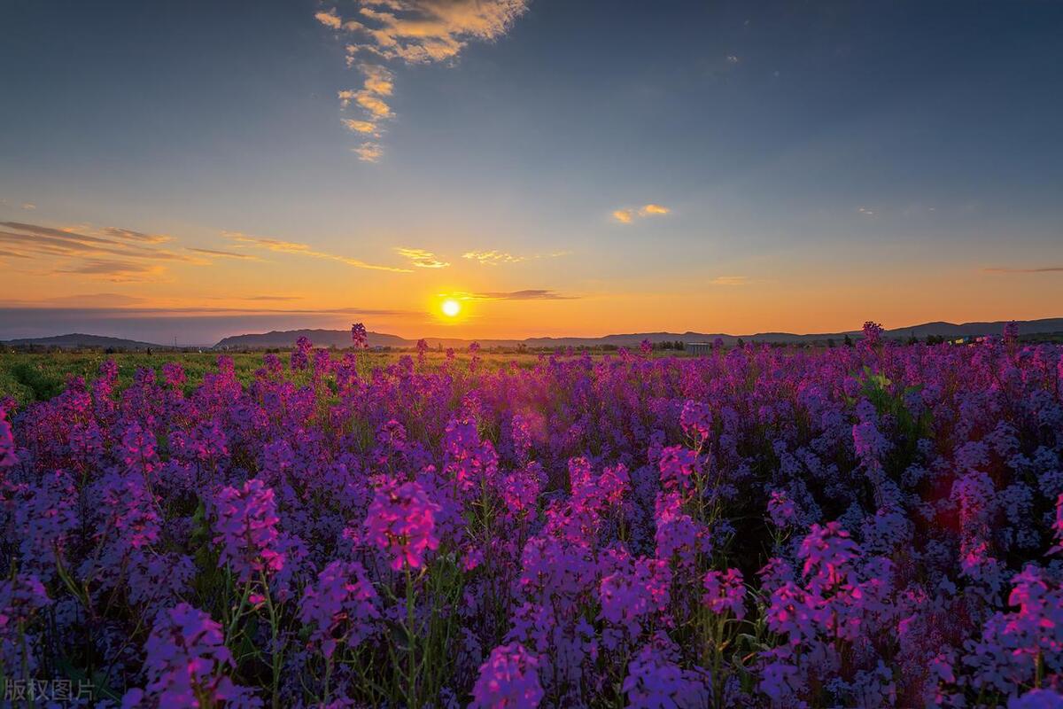 追寻自由之旅：唯美短句咏叹旅行的魅力(图3)