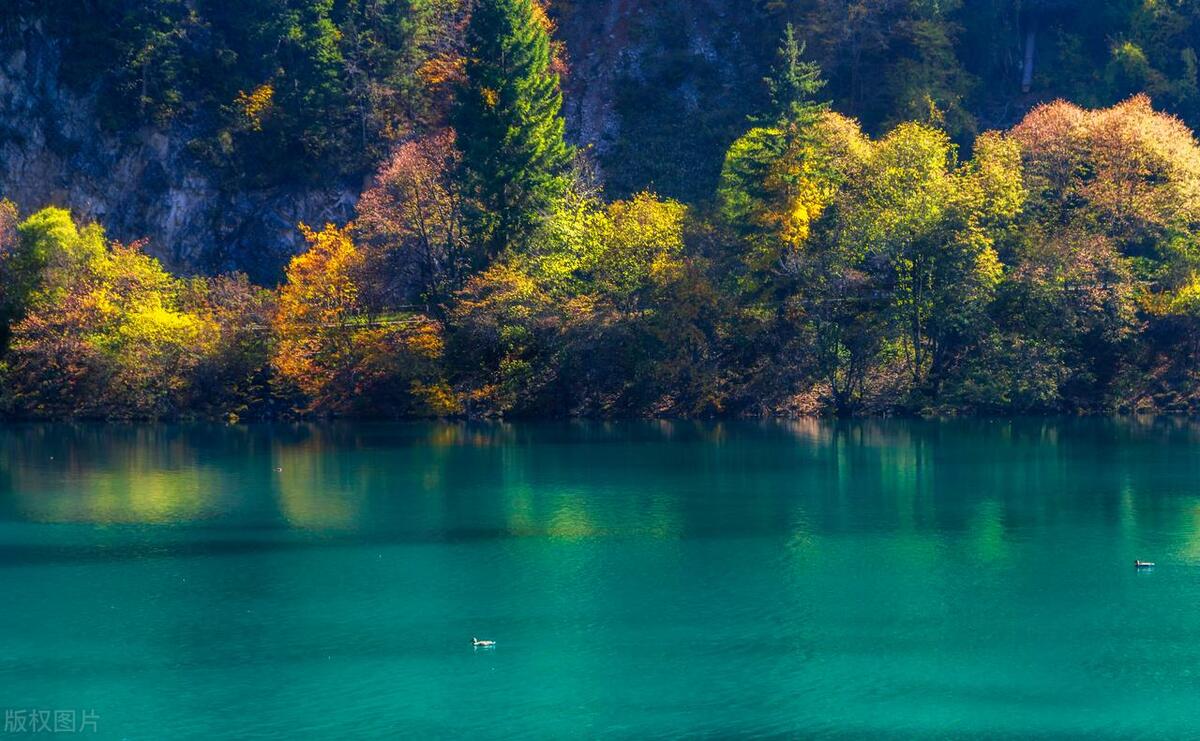 追寻自由之旅：唯美短句咏叹旅行的魅力(图4)