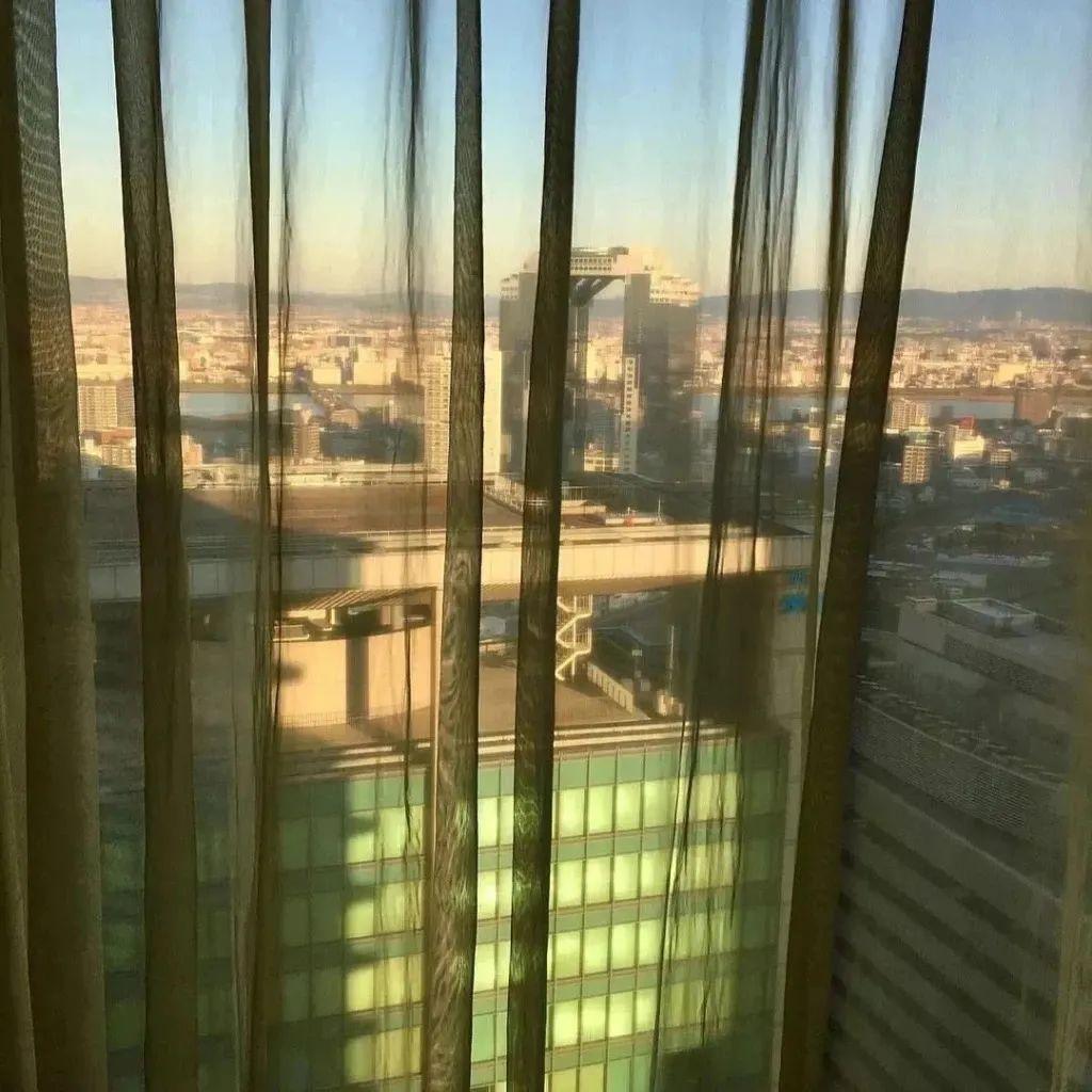 错过一个人的悲伤句子(图1)