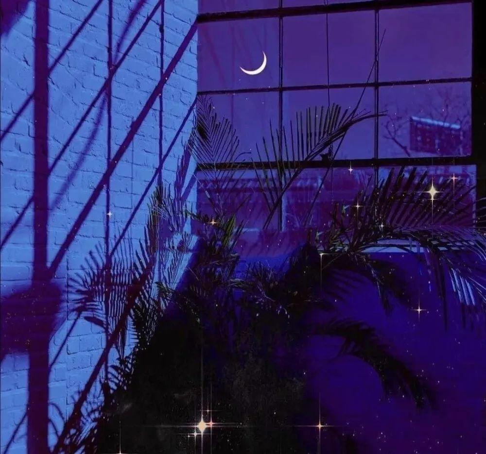 错过一个人的悲伤句子(图4)