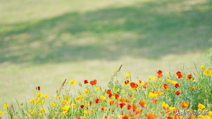 错过了最爱的那个人说说(图1)