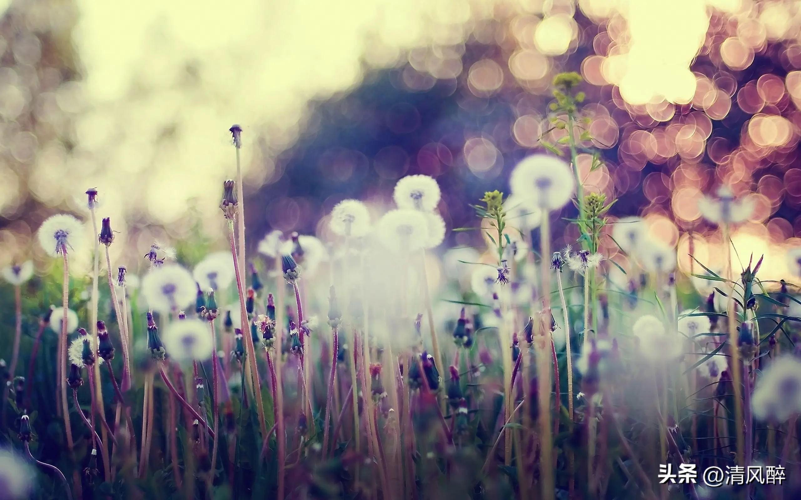 错过了最爱的那个人说说(图3)