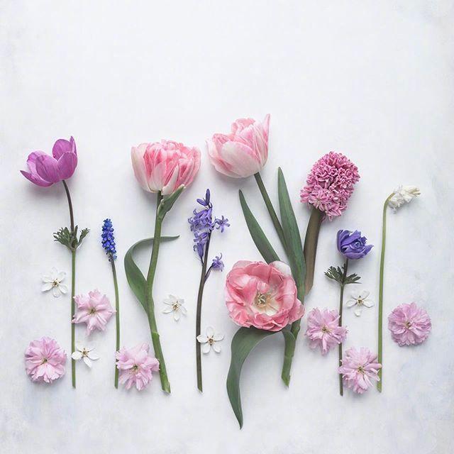 命运靠自己的人生格言(图1) 命运靠自己的人生格言(图1)